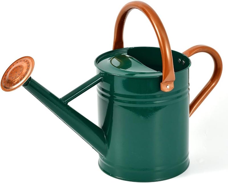 yourjoy Steel Watering Can Sliver Galvanized Steel Watering Can with Copper Accents,Removable Rosette-Diffuser,One-Gallon Green - Image 1